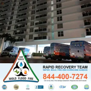 Top 5 Causes of Emergency Water Damage Restoration Tampa Homes