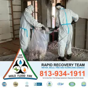 Fire Damage Restoration Tampa FL