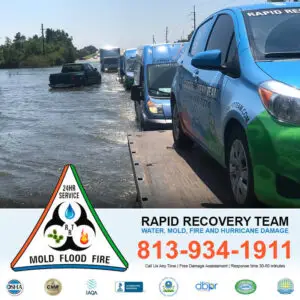 Flood Cleanup Tampa FL