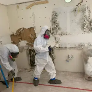 Tampa Mold Removal Tips: Stop Mold Before It Starts in Your Florida Home