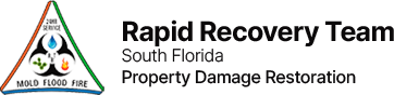 Rapid Recovery Team Logo