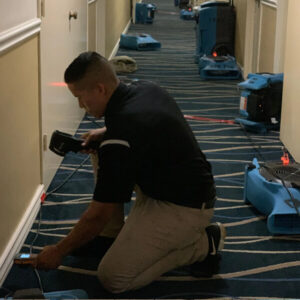 5 Essential Tips for Effective Water Damage Remediation Tampa