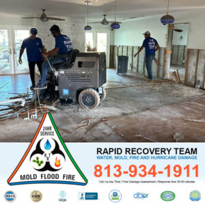 Damage Restoration Services Florida