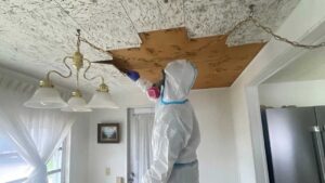 Protect Your Home & Health Before It Spreads with Expert Mold Removal in Tampa FL